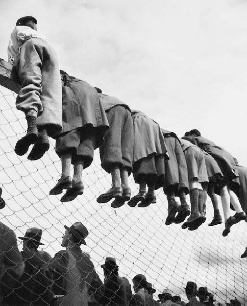 viimane pilt Väiksest Töllist (vist...)